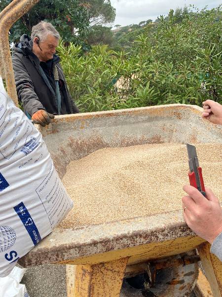 Remplacement de la masse filtrante dans une copropriété